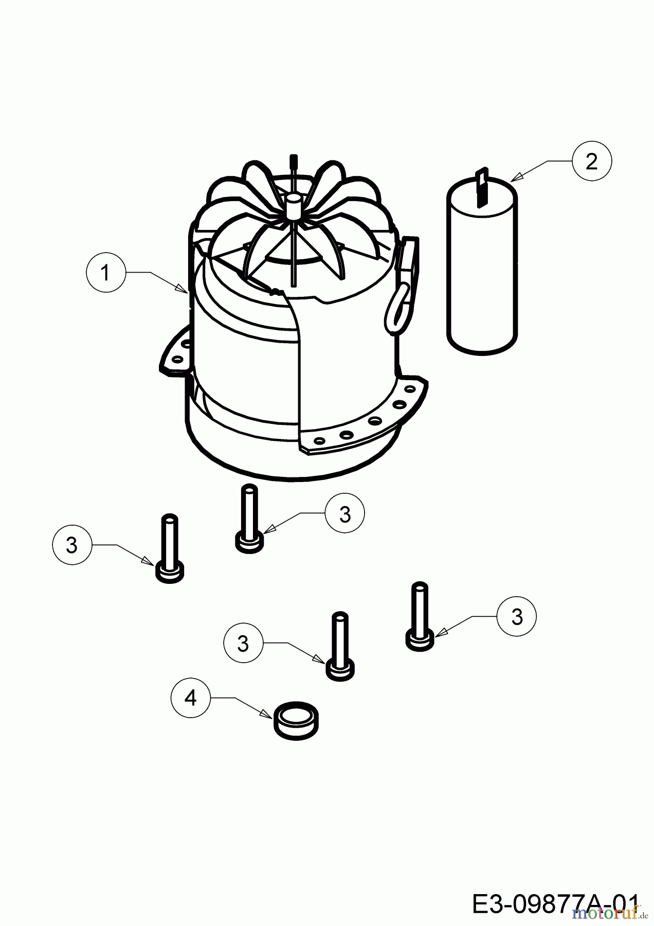  WOLF-Garten Expert Tondeuse électrique Expert 37 E 18BWG1H-650  (2018) Moteur électrique